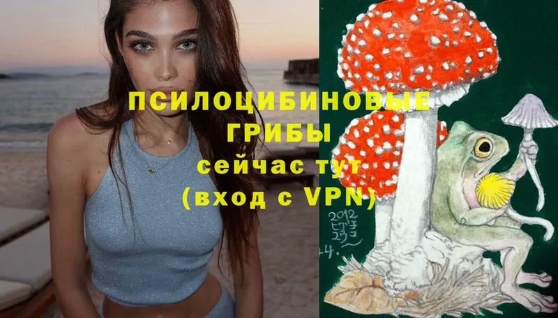 закладка  hydra рабочий сайт  Галлюциногенные грибы Magic Shrooms  Пудож 